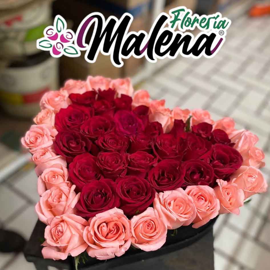 corazonRosaRojo