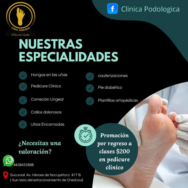 especialidades600