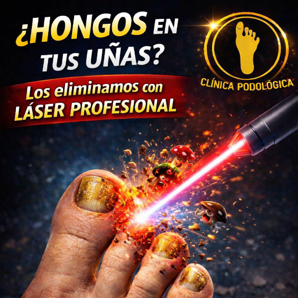 hongos600